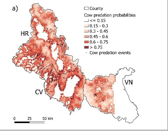 OHIO researcher investigates first assessment of livestock predation